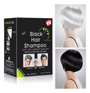 Shampoo Tinte Negro Black Hair x 10